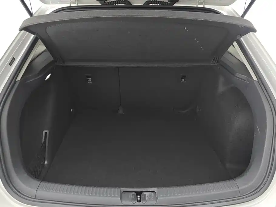 Volkswagen Gran Lavida — миниатюра 4
