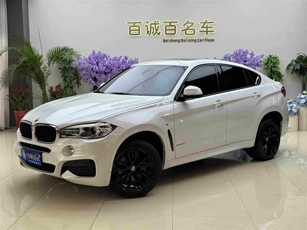 BMW X6 2019 xDrive35i M Sport