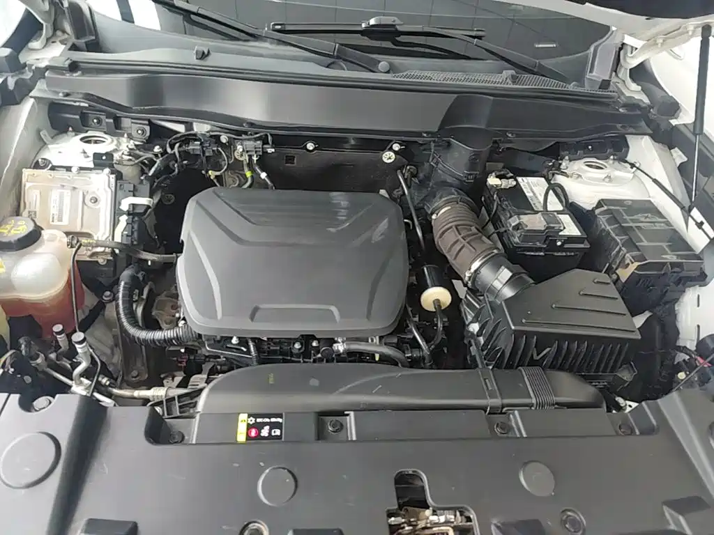 Haval Big Dog — миниатюра 20