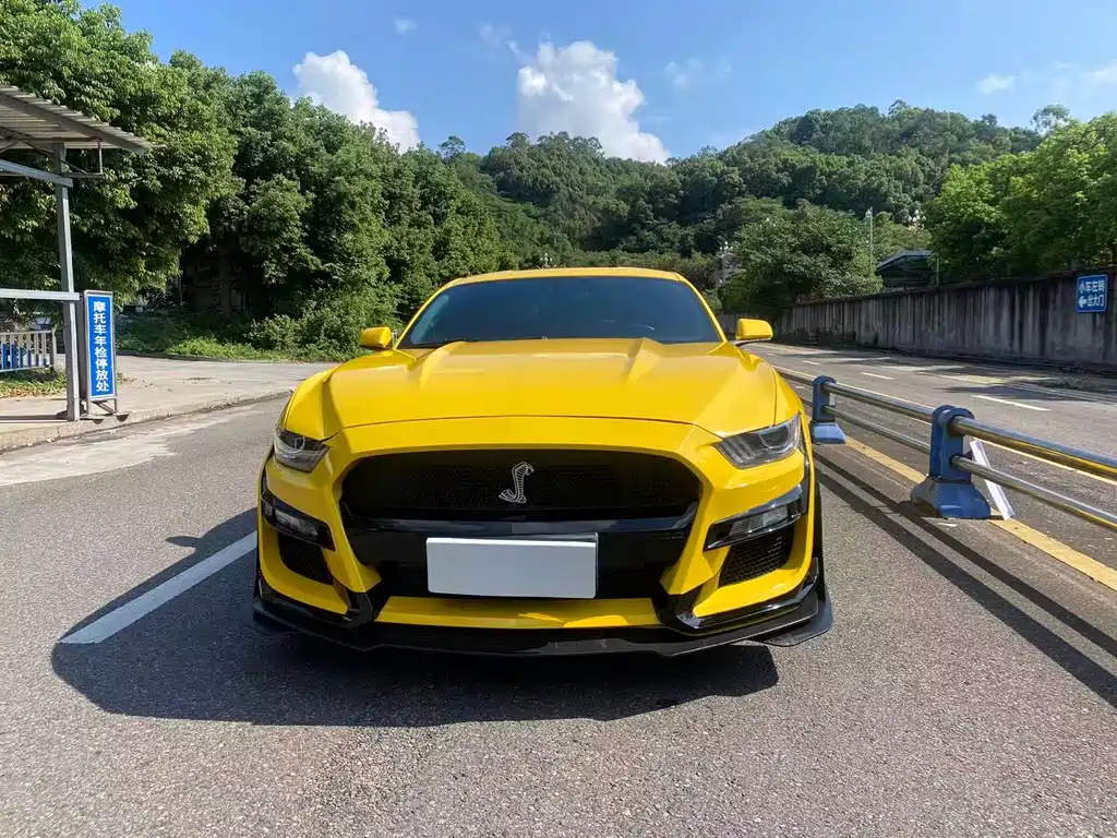 Ford Mustang — миниатюра 2