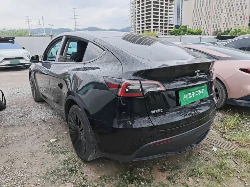 Tesla Model Y — миниатюра 5