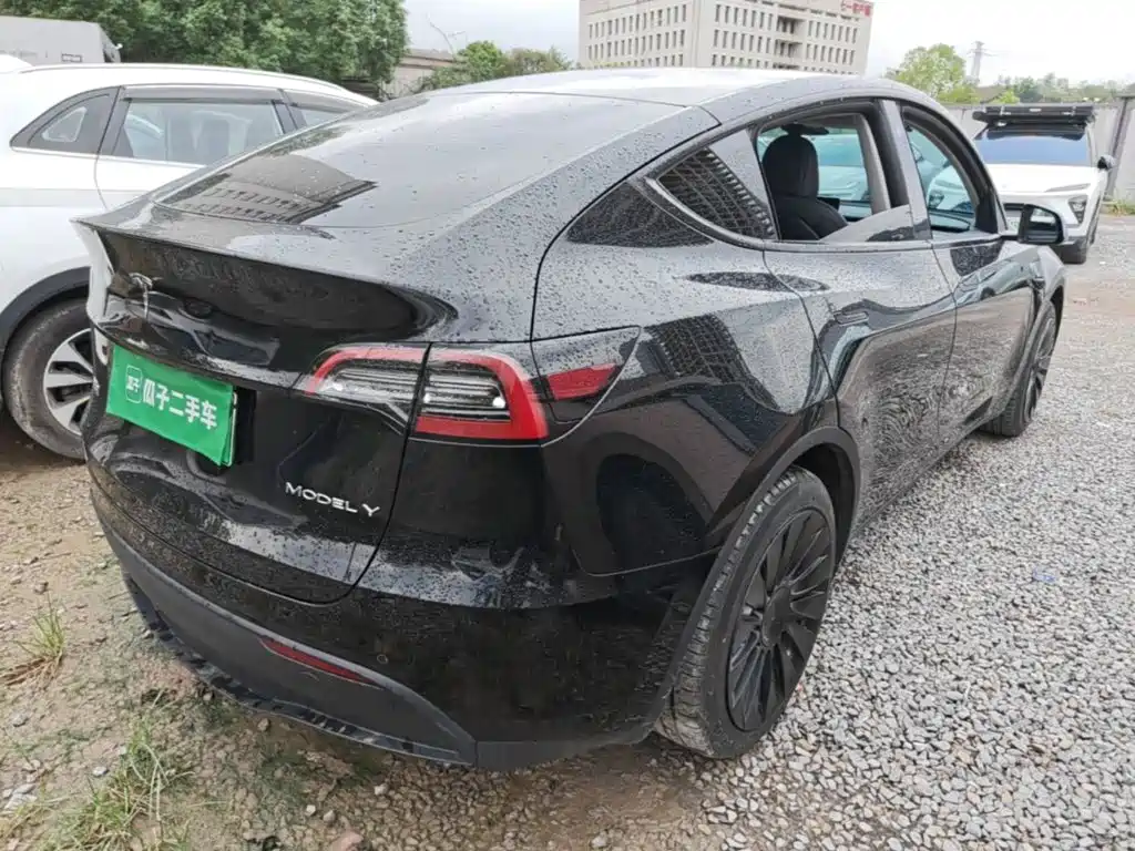 Tesla Model Y — миниатюра 7