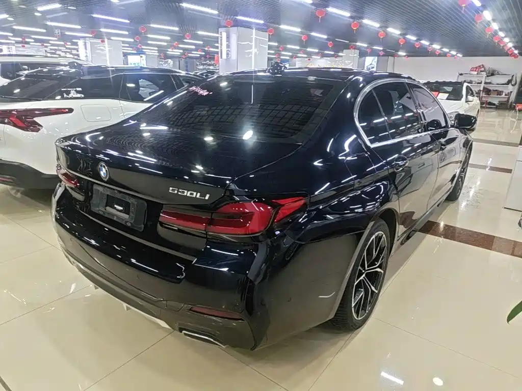 BMW 5 Series — миниатюра 7