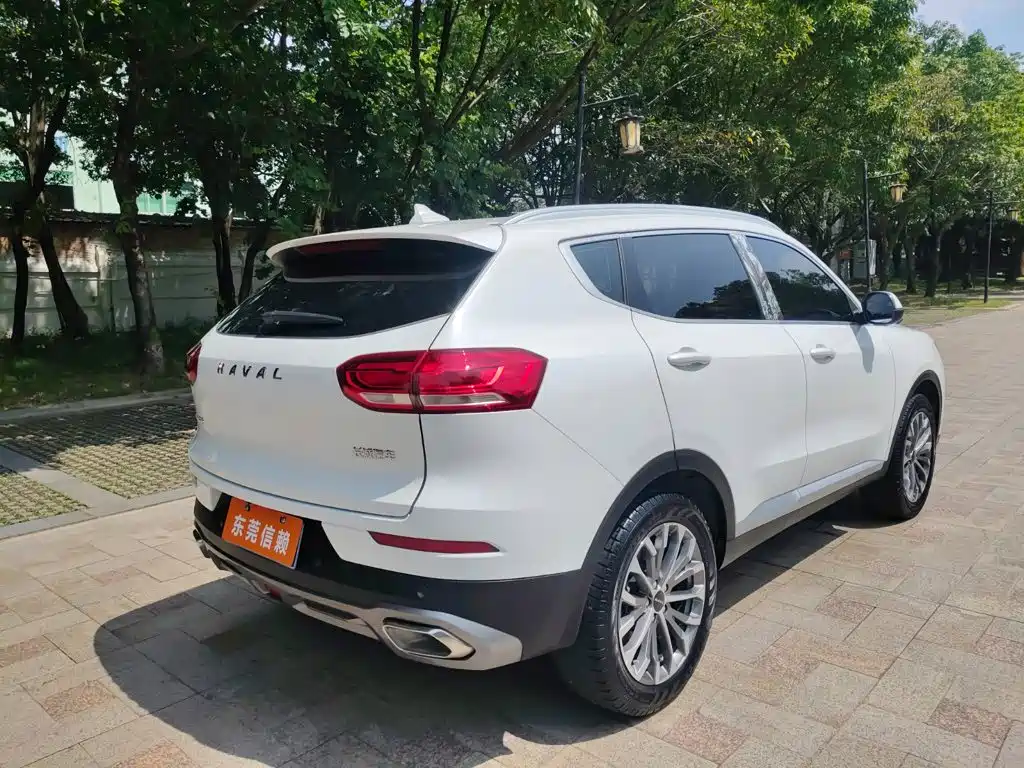 Haval H6 — миниатюра 5