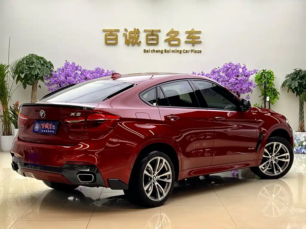 BMW X6 — миниатюра 5