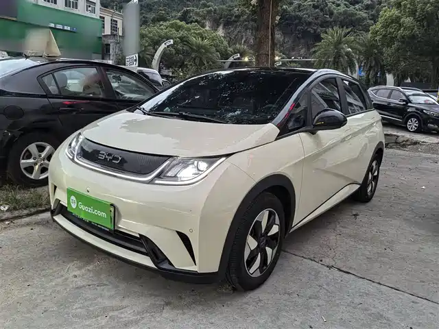 BYD DOLPHIN 2024