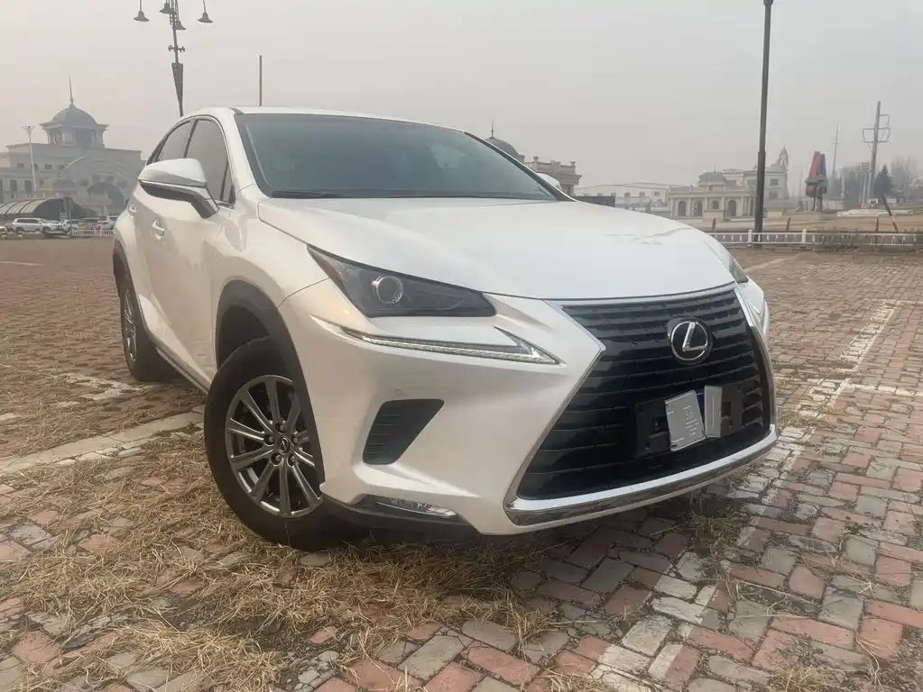 Lexus NX 200 FWD Edge Travel Edition China V, фото 3