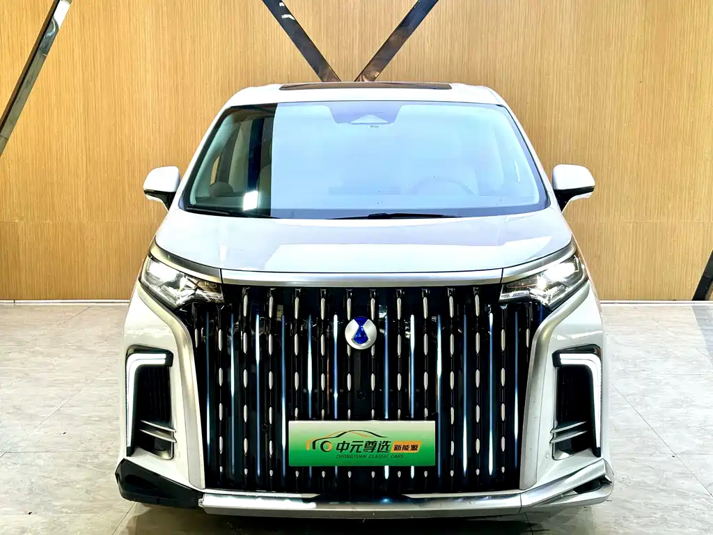 Denza Denza D9 — миниатюра 2