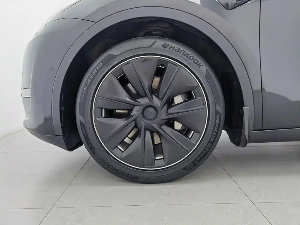 Tesla Model Y — миниатюра 17