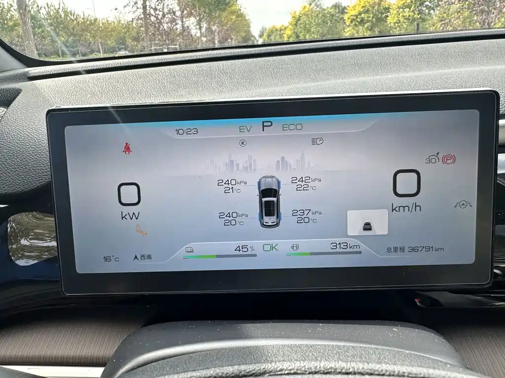 BYD Pro New Energy — миниатюра 16
