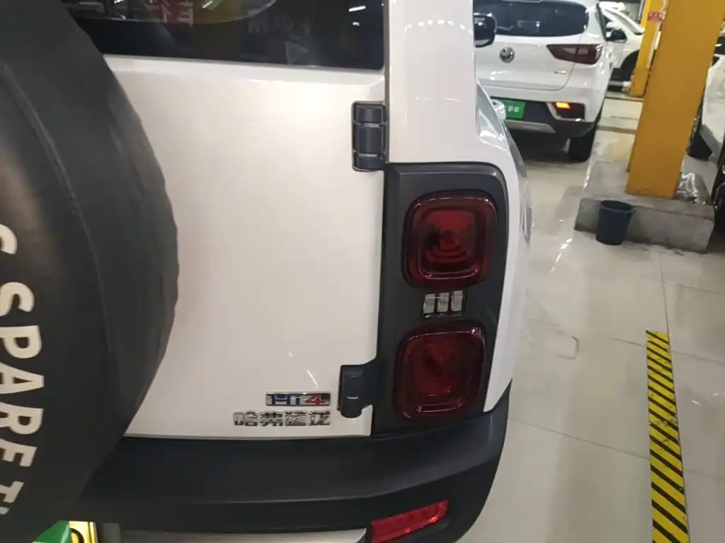 Haval Menglong New Energy — миниатюра 8