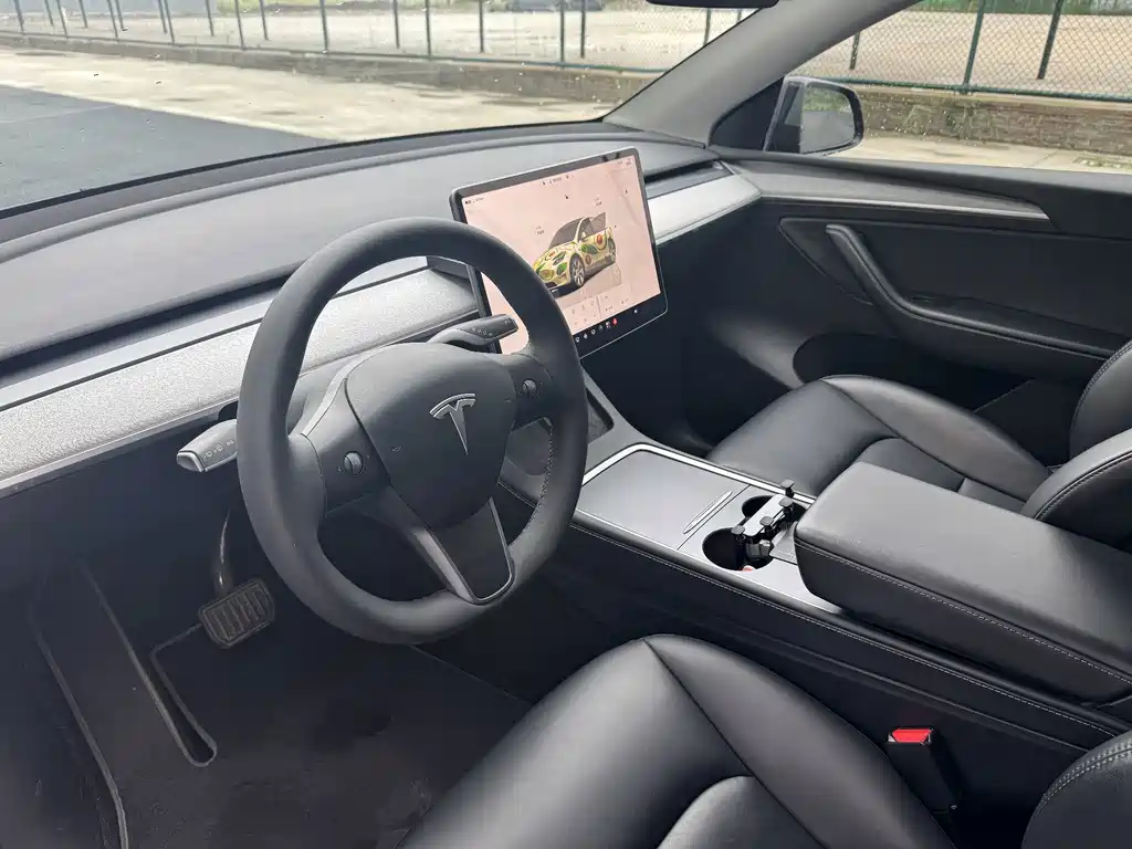 Tesla Model Y — миниатюра 4