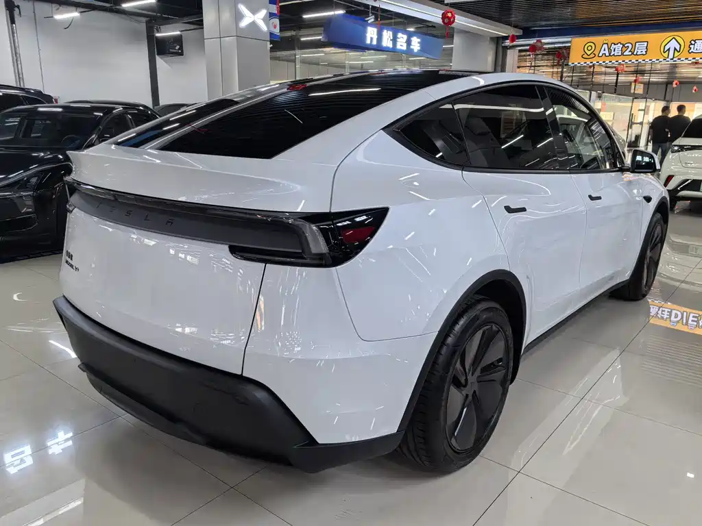 Tesla Model Y — миниатюра 4