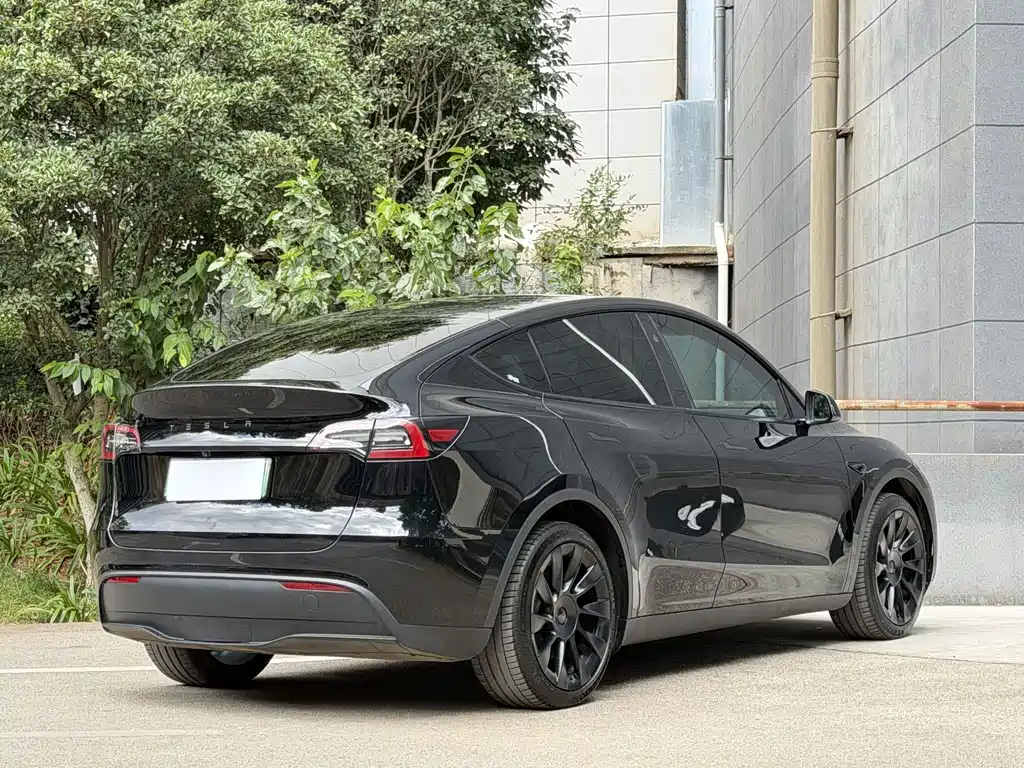 Tesla Model Y — миниатюра 5