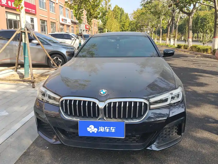 BMW 5 Series — миниатюра 2