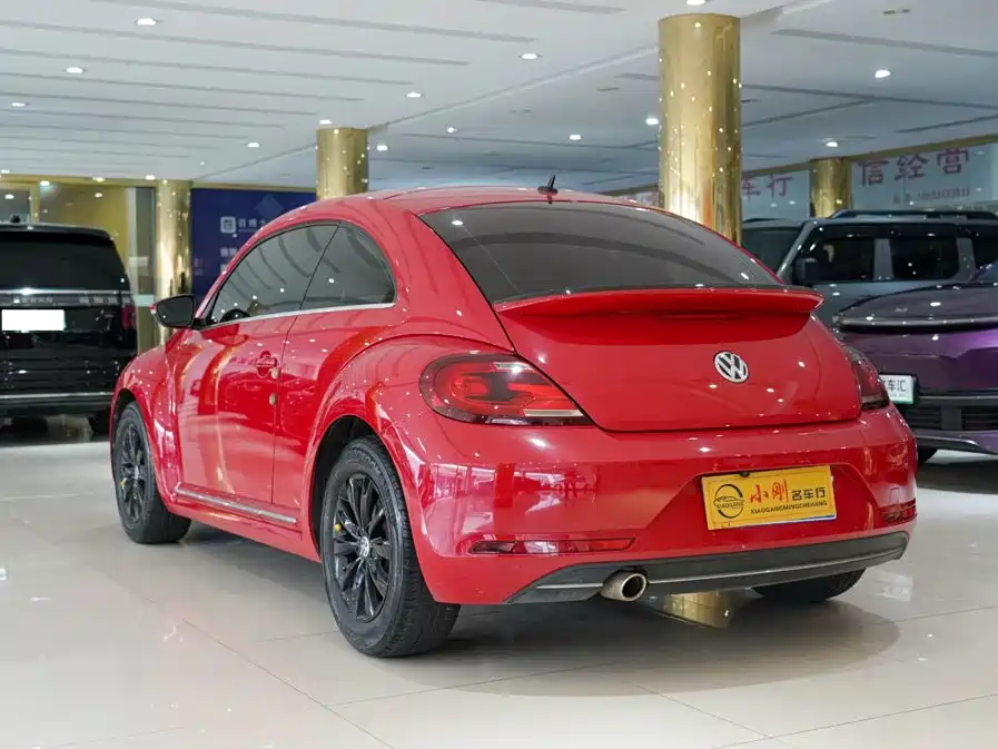 Volkswagen Beetle — миниатюра 14