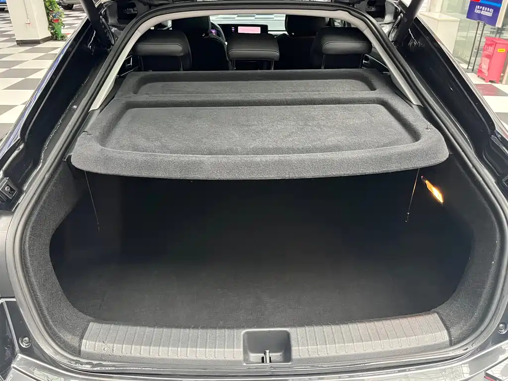 Volkswagen Lamando — миниатюра 14