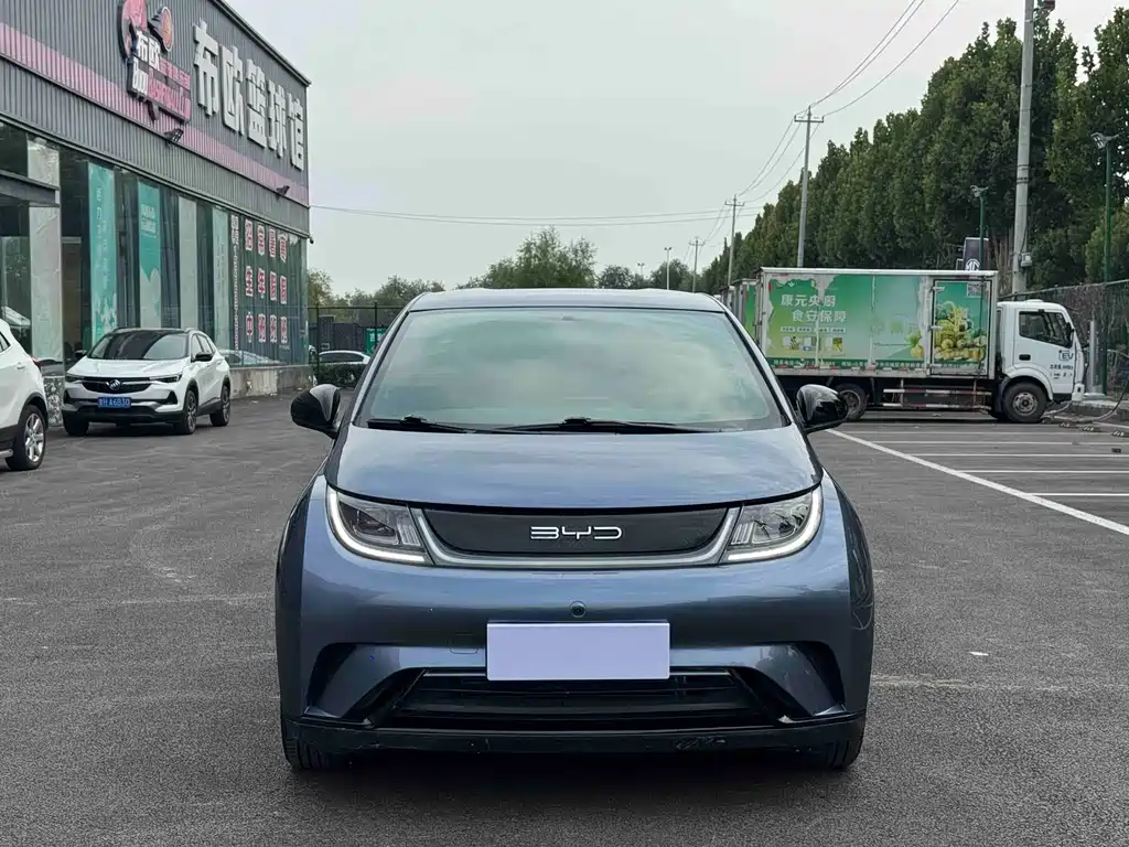 BYD Dolphin — миниатюра 2