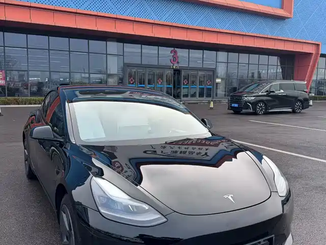 TESLA MODEL 3 2021