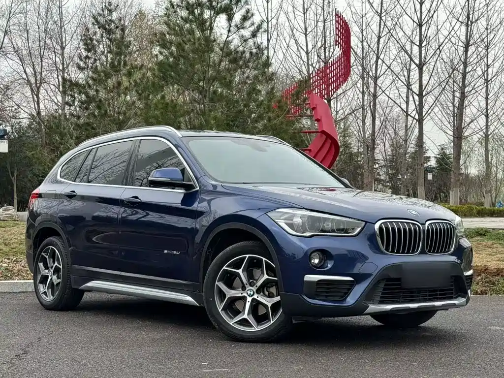 BMW X1 — миниатюра 23