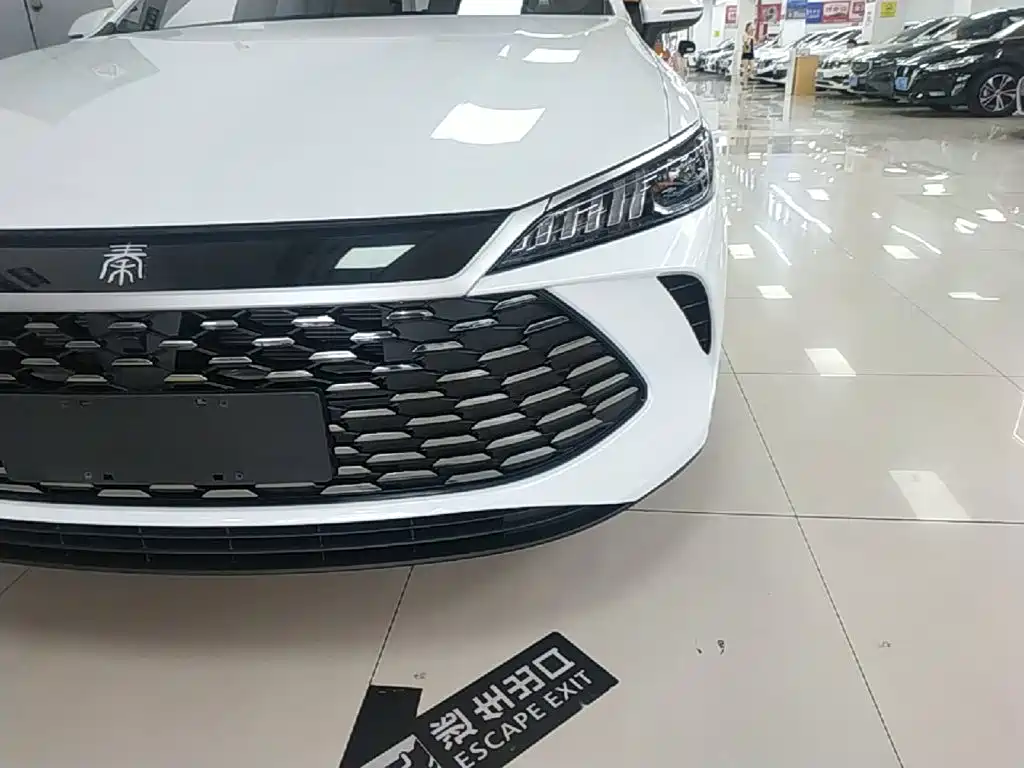 BYD Qin PLUS — миниатюра 24