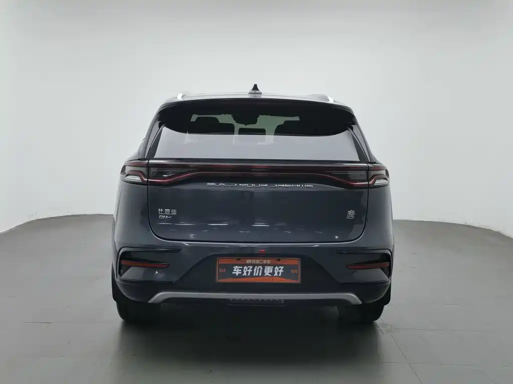 BYD Tang New Energy — миниатюра 4