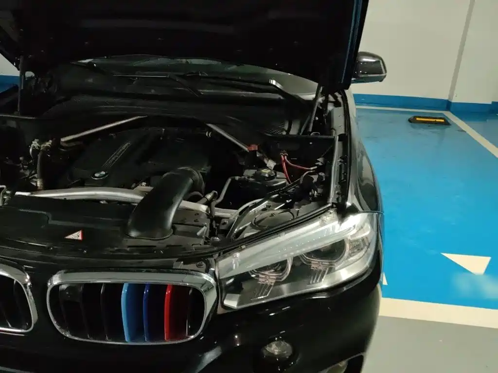 BMW X5 (Import) — миниатюра 20
