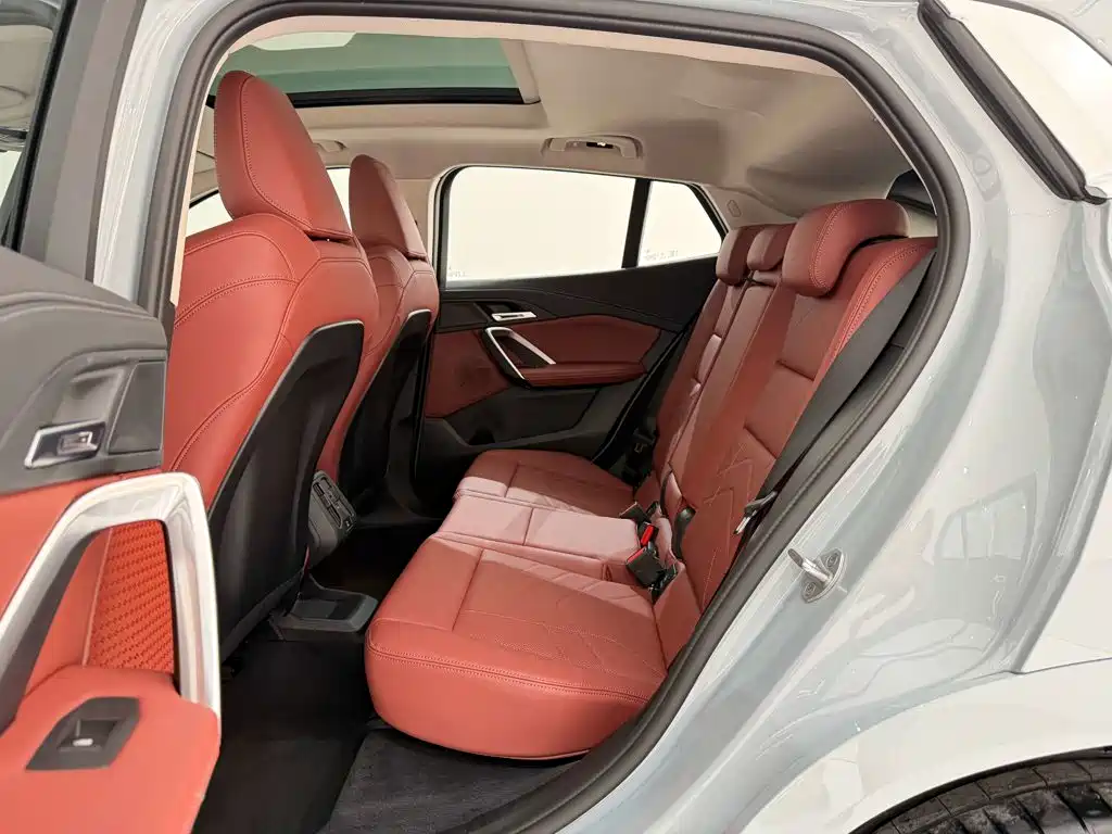 BMW X2 (Import) — миниатюра 19