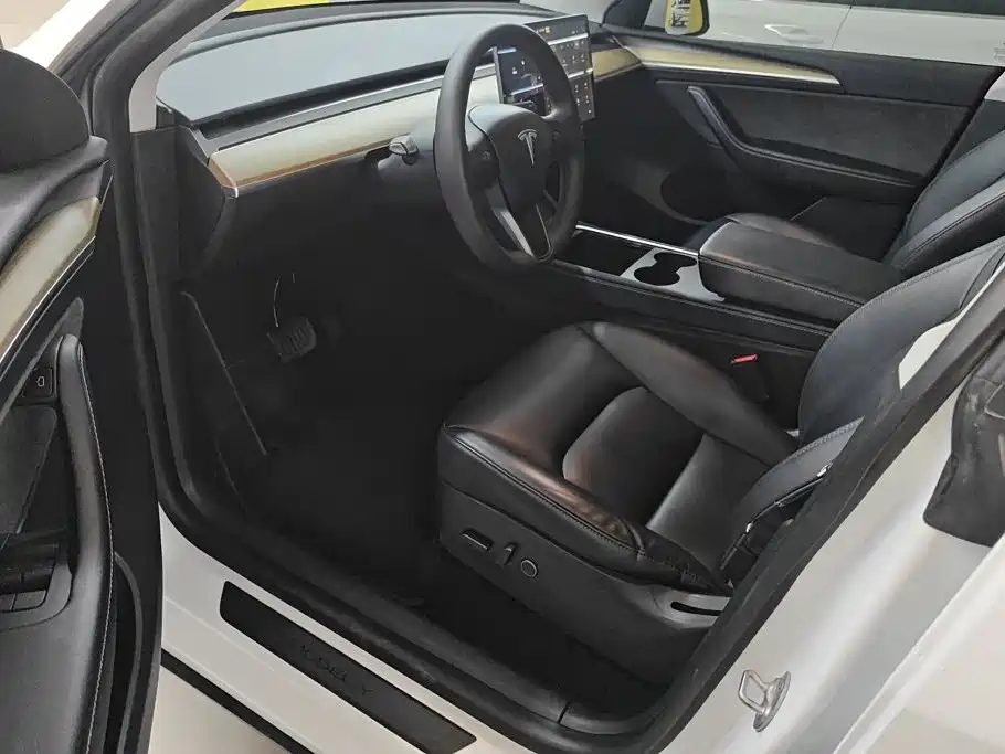 Tesla Model Y — миниатюра 9
