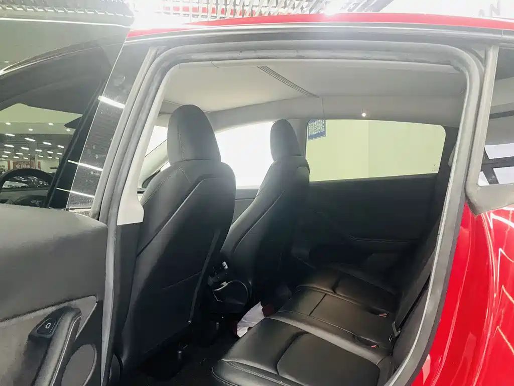 Tesla Model Y — миниатюра 11