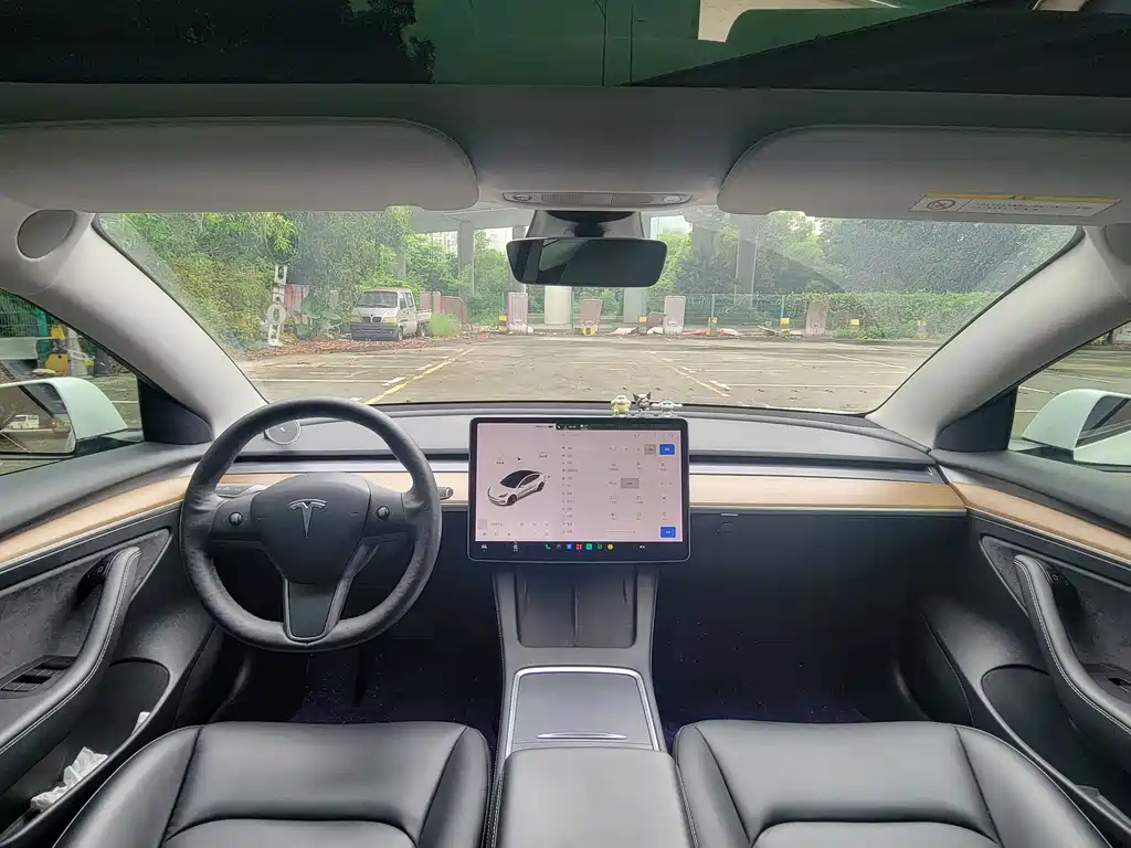 Tesla Model 3 — миниатюра 11