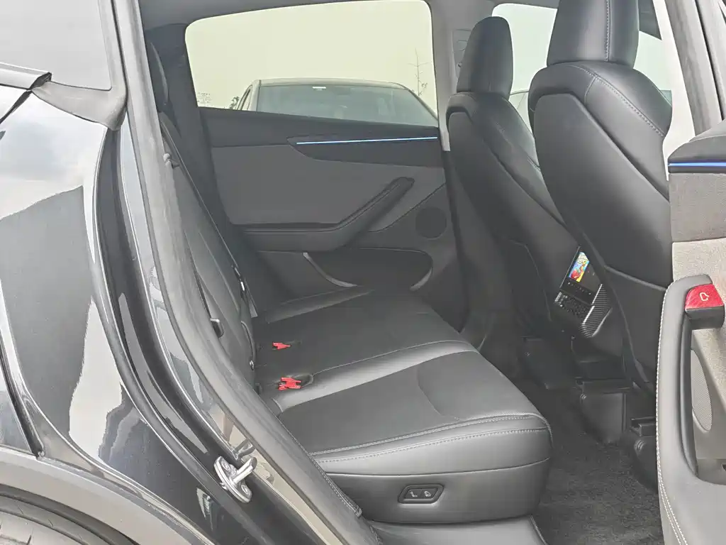 Tesla Model Y — миниатюра 15