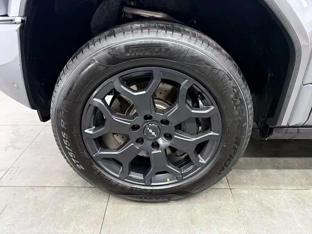 FANG CHENG BAO LEOPARD 5