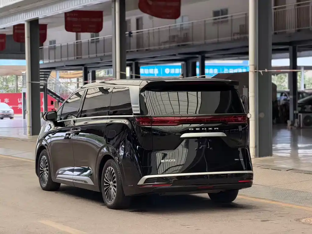 Denza Denza D9 — миниатюра 11
