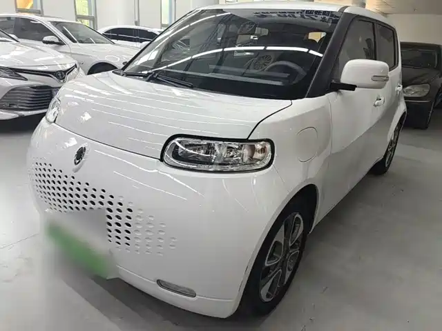 2021 Ora R2/White Cat