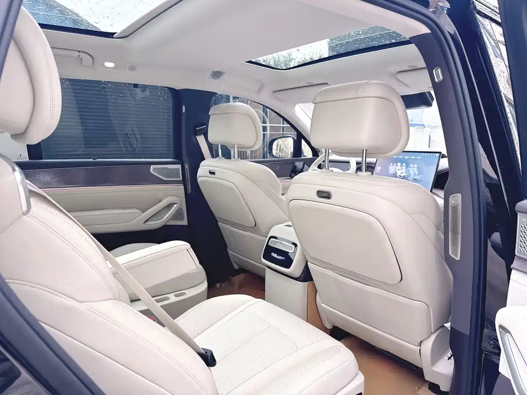 Denza Denza N9 — миниатюра 17