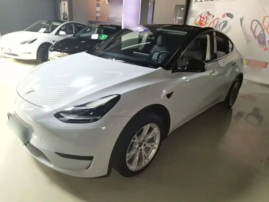 Tesla Model Y — миниатюра 2