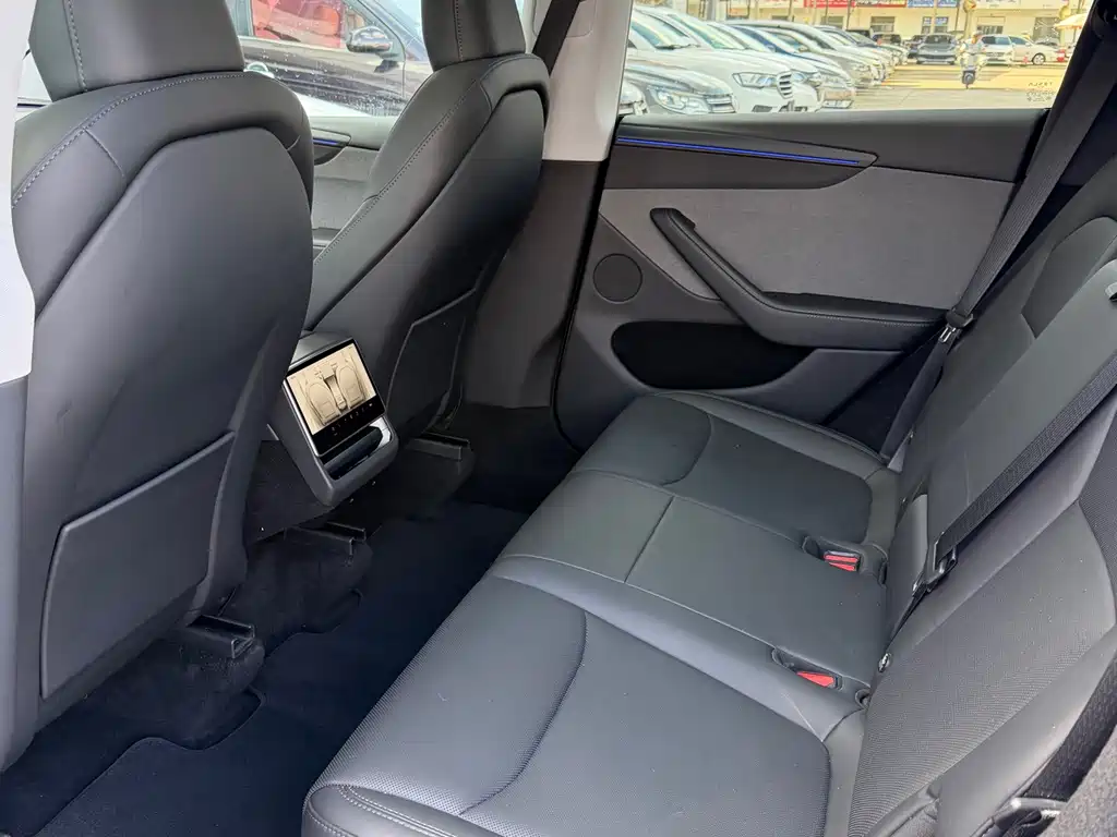 Tesla Model Y — миниатюра 14