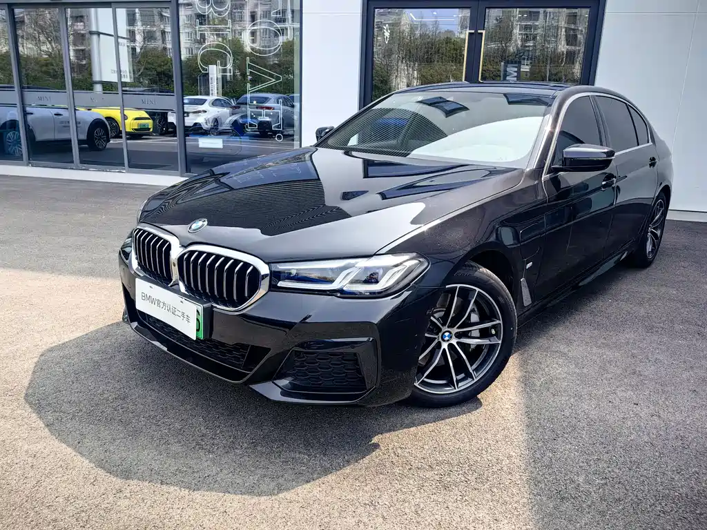 BMW 5 Series New Energy 2021