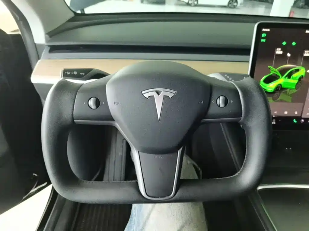 Tesla Model Y — миниатюра 11
