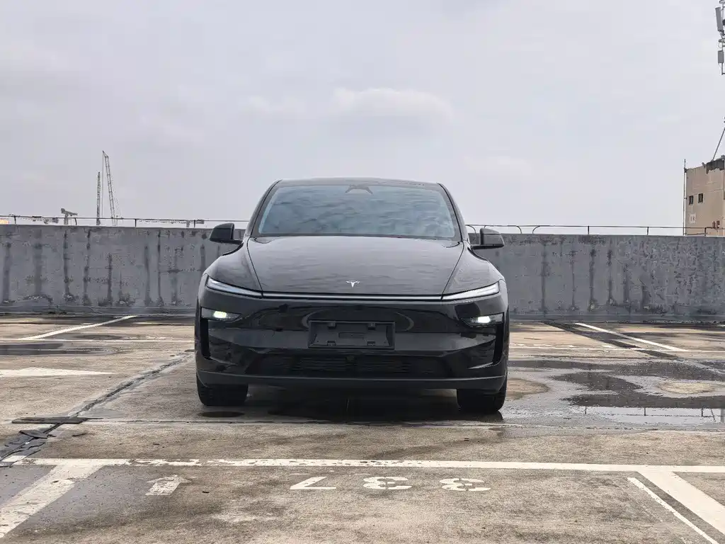 Tesla Model Y — миниатюра 2