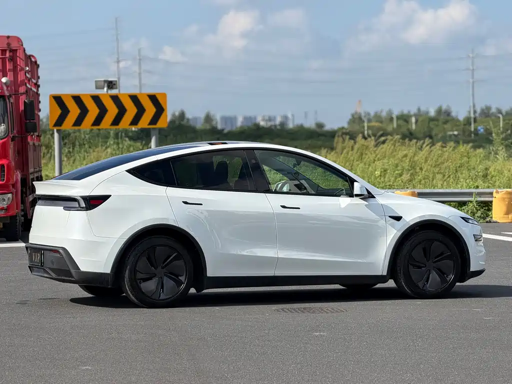 Tesla Model Y — миниатюра 17
