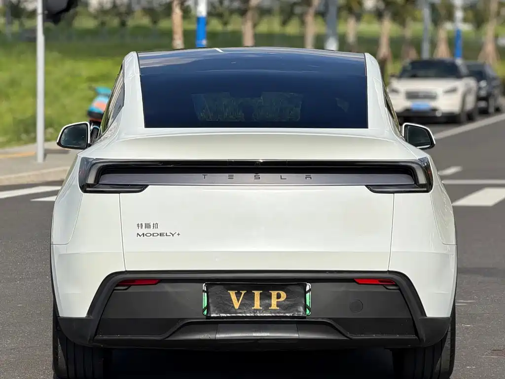 Tesla Model Y — миниатюра 9