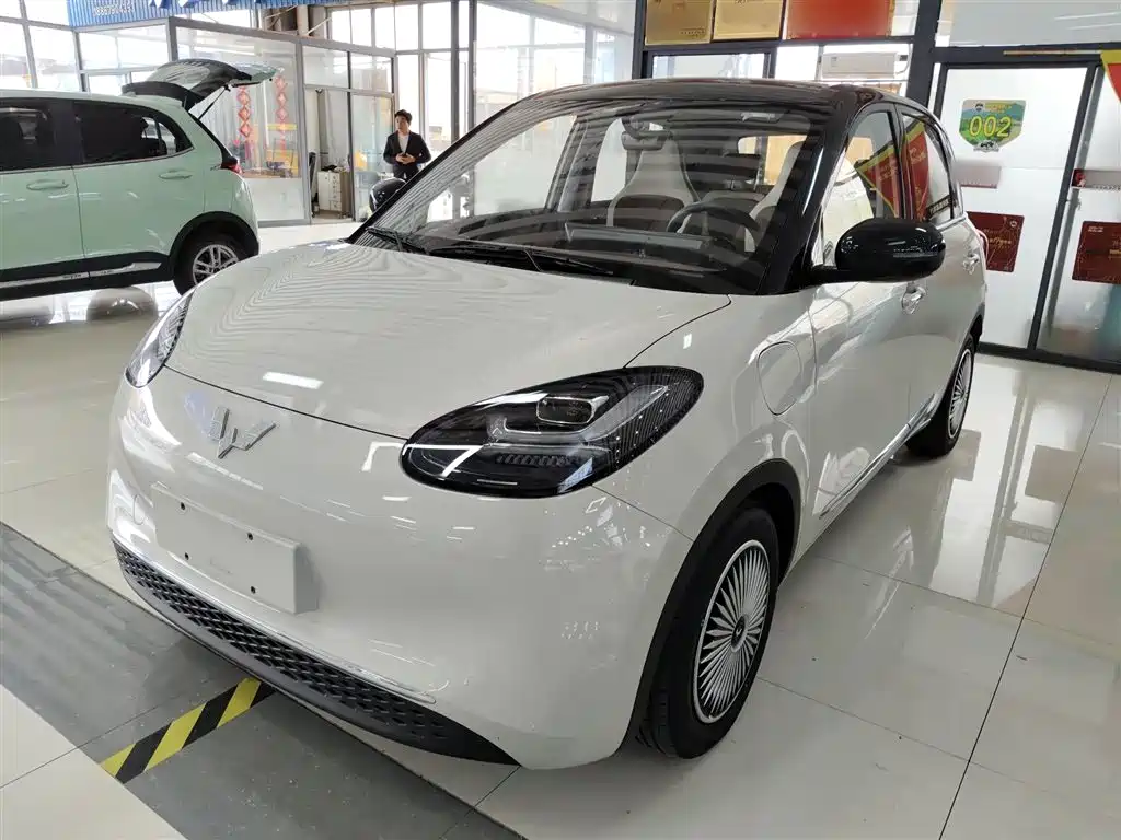 Wuling Bingo 2024