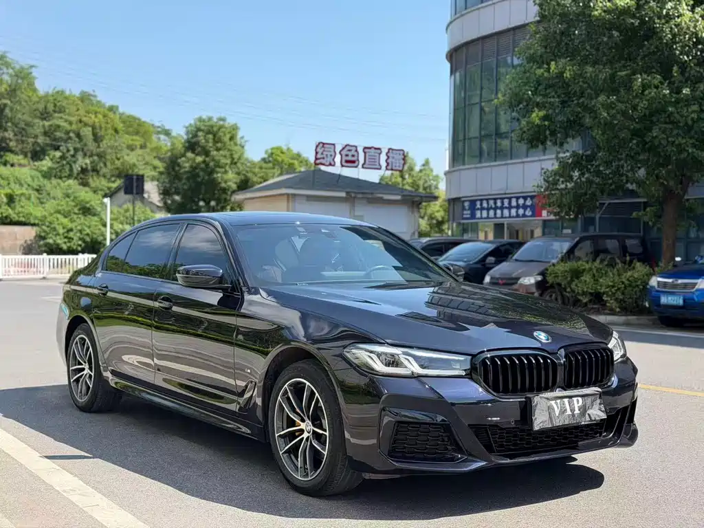 BMW 5 Series — миниатюра 3