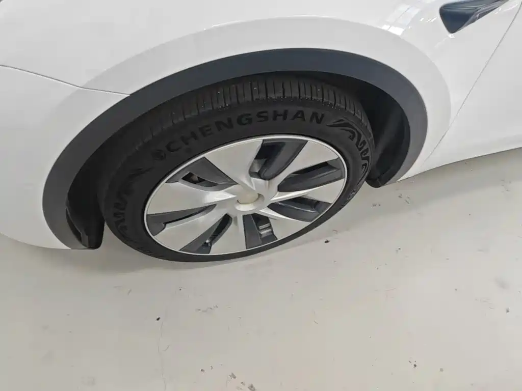 Tesla Model Y — миниатюра 23