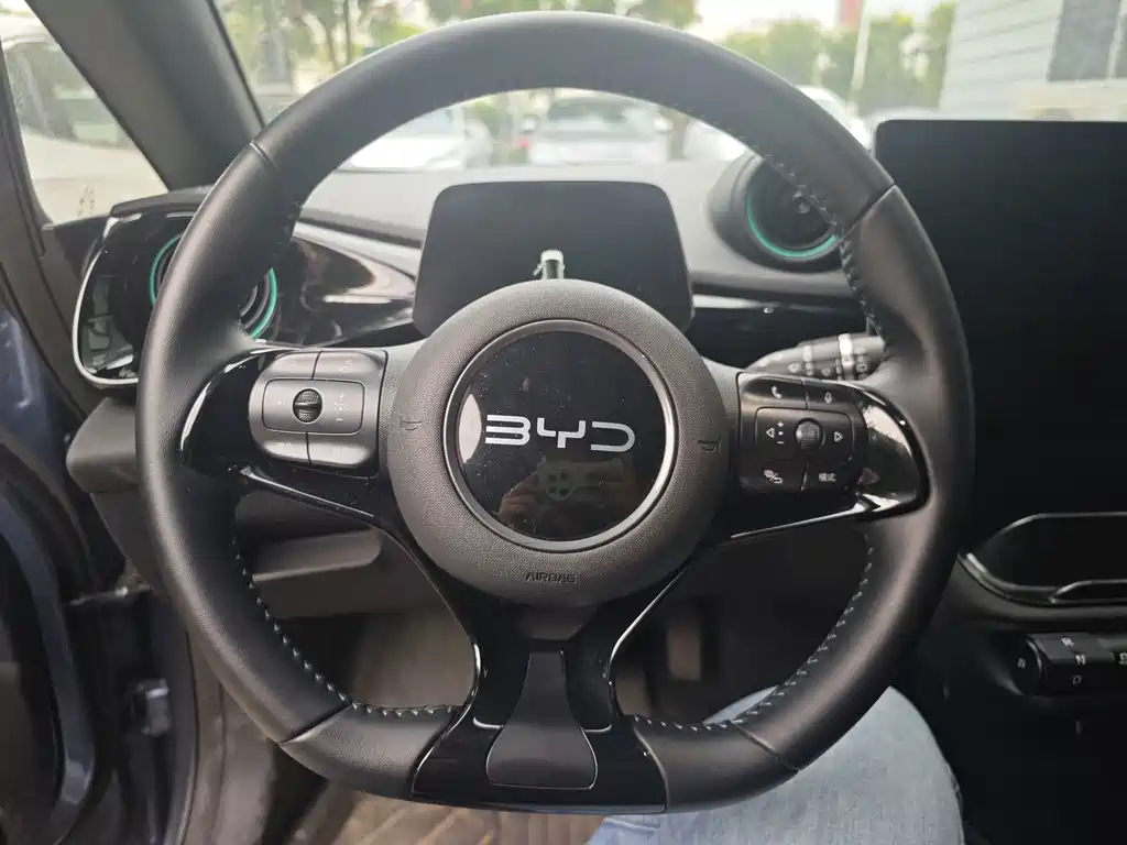 BYD Dolphin — миниатюра 5