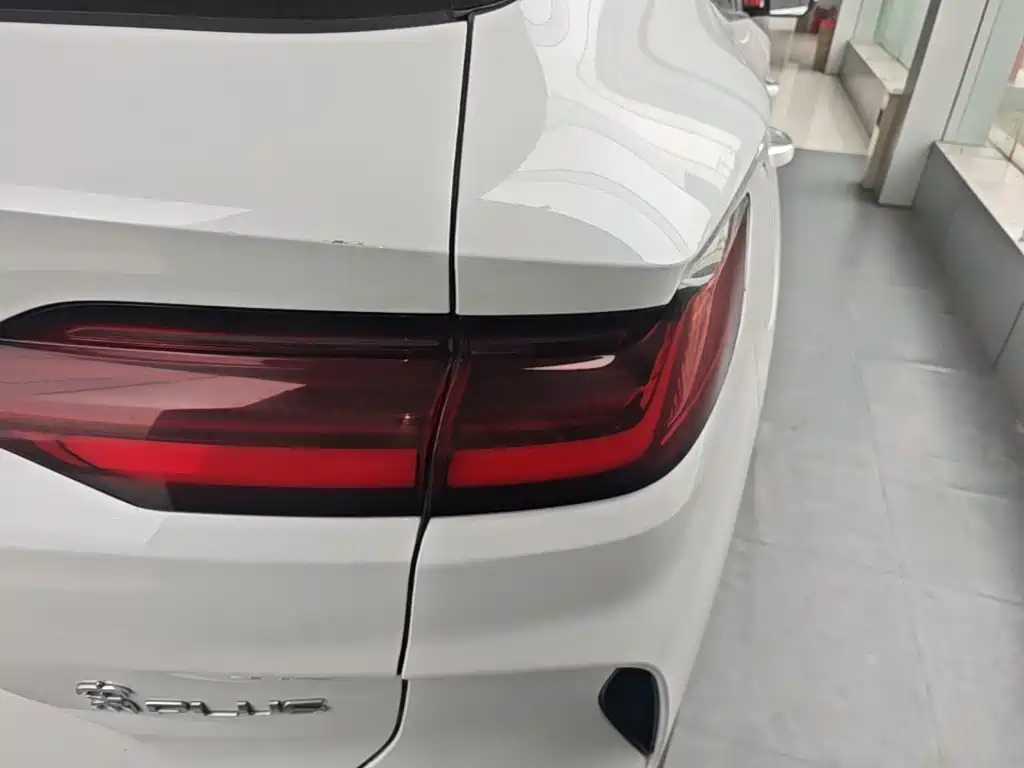 BYD PLUS New Energy — миниатюра 8