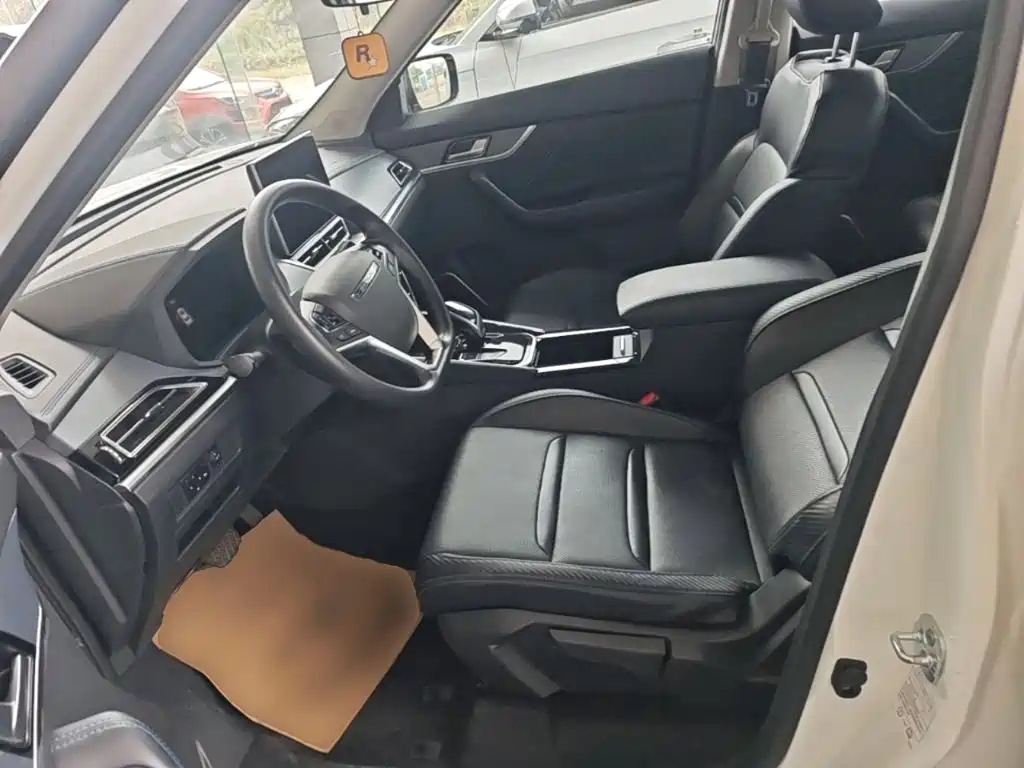 Venucia T60 EV — миниатюра 15