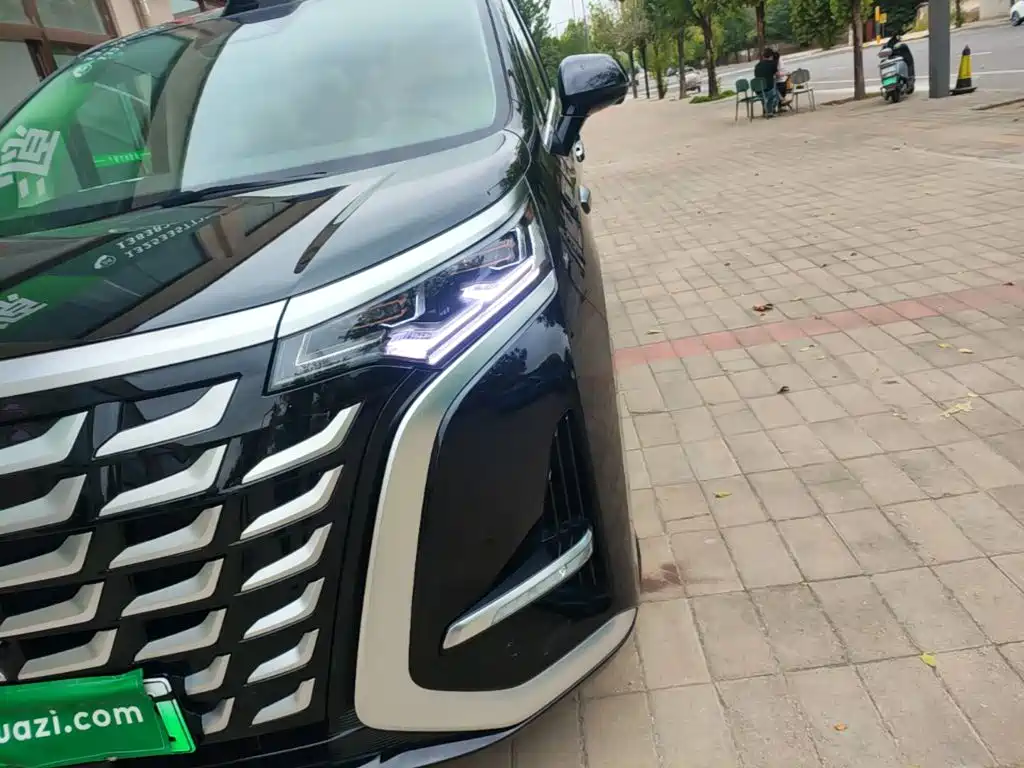 Denza Denza D9 — миниатюра 24